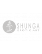 Shunga Erotic Art